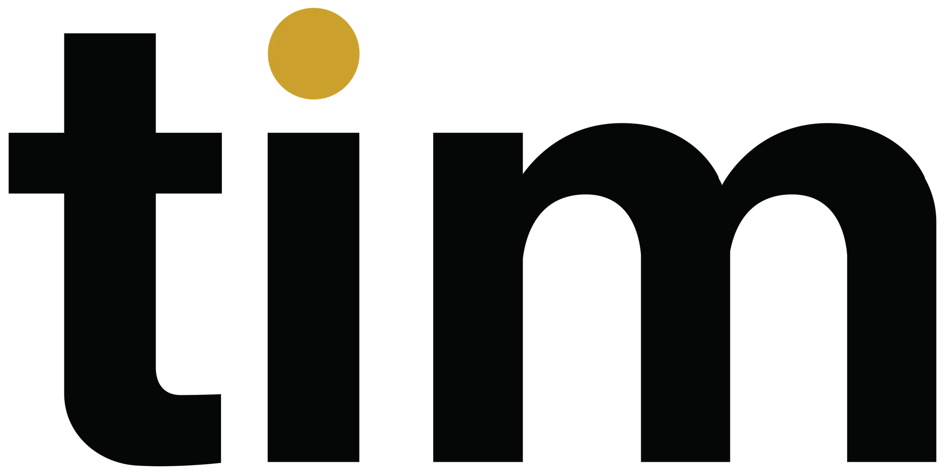 TIM Africa logo